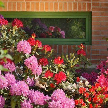 Villa Delle Ortensie Tavagnacco Buitenkant foto